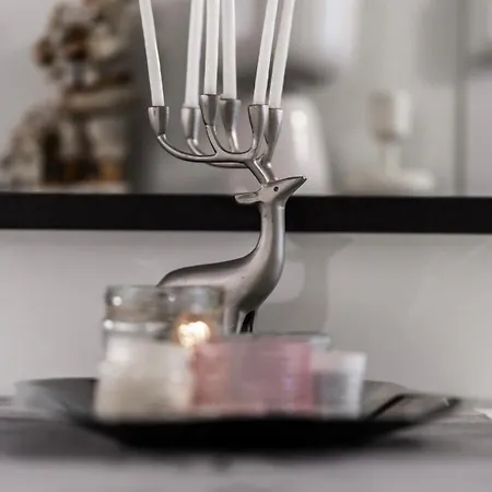 North Riistatie 아파트 *